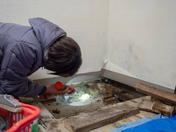 Best Water Damage & Mold Remediation  in Martinsville, NJ