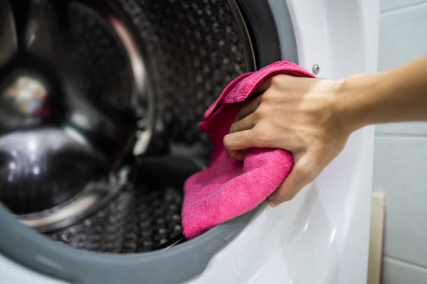 Professional Mold Removal in Martinsville, NJ