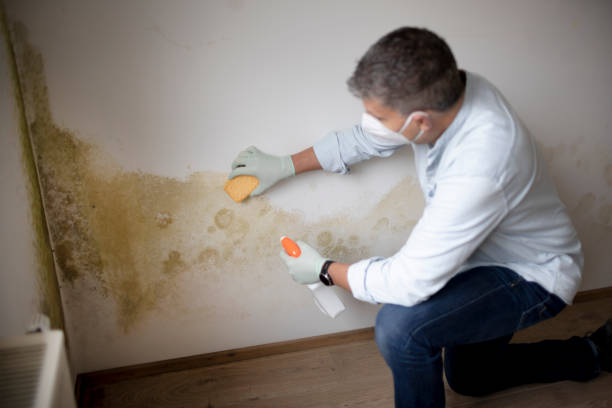 Best Asbestos and Lead Testing During Mold Inspection  in Martinsville, NJ