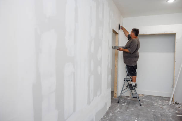Best Mold Documentation for Insurance Claims  in Martinsville, NJ