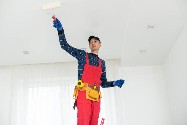 Best Basement Mold Removal  in Martinsville, NJ