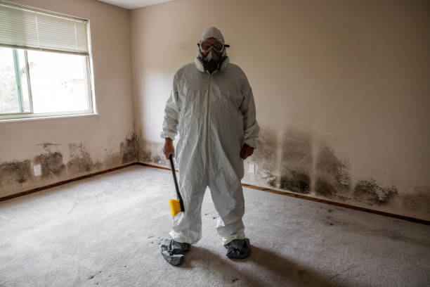 Best Mold Odor Removal Services  in Martinsville, NJ