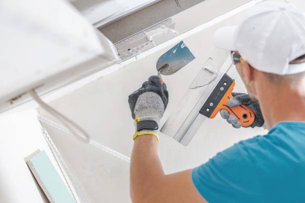 Best Mold Damage Restoration  in Martinsville, NJ